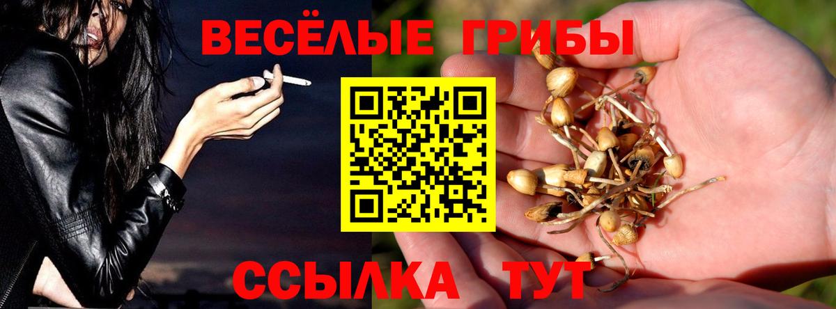 Мелеуз  Галлюциногенные грибы Psilocybe  Галлюциногенные грибы мицелий  Вход с VPN 